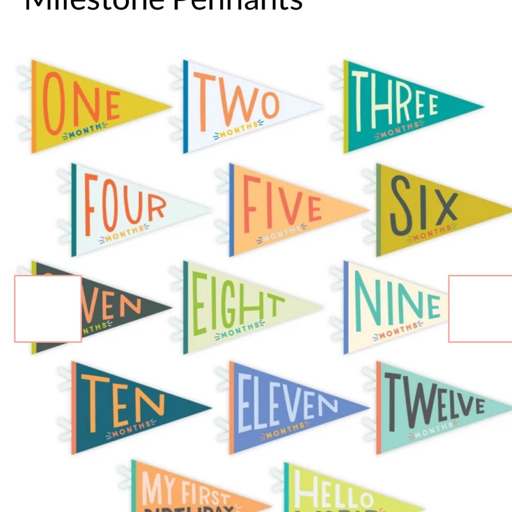 Lucy Darling Petit Milestone Pennants